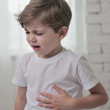  Brust- und Bauchwand